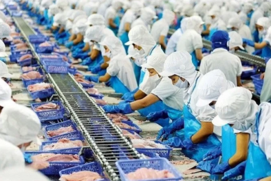 Vì sao thủy sản đủ tiêu chuẩn EU nhưng lại khó tiêu thụ tại thị trường nội địa?